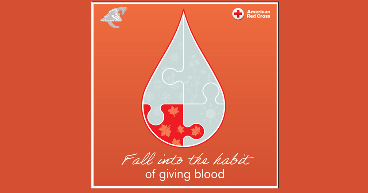 A slice of Pumpkin pie with the words 